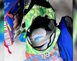 First Grade Teacher Opens Backpack — And Finds A Surprise That Made Her Scream