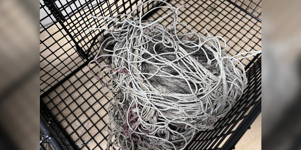 Rescuers Cut Through Tangled Soccer Net — And Reveal The Sweetest Little Face