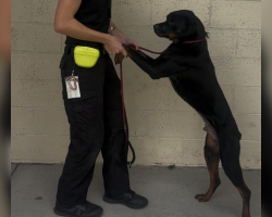Frightened Shelter Pup Refuses To Leave His Kennel — Unless Someone Holds His Paws