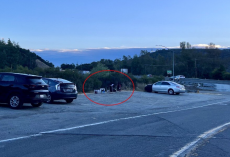 Couple Stops Everything After Finding Five Fluffy Babies Abandoned In A Parking Lot