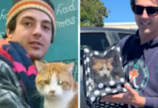 Cat Missing For 7 Years Can’t Stop Purring When He Finally Sees His Dad Again