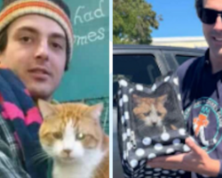 Cat Missing For 7 Years Can’t Stop Purring When He Finally Sees His Dad Again