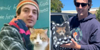 Cat Missing For 7 Years Can’t Stop Purring When He Finally Sees His Dad Again