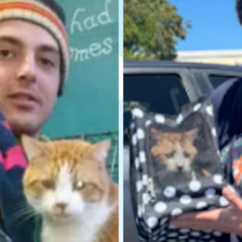 Cat Missing For 7 Years Can’t Stop Purring When He Finally Sees His Dad Again