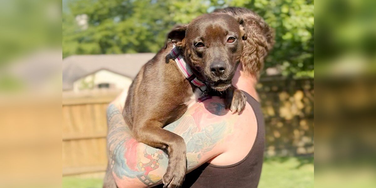 Foster Dog Too Afraid To Walk Finds A Family Who Teaches Her How To Trust Again