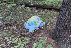 Mushroom Forager Finds Something Strange Under a Towel — Then Realizes Someone’s Trapped Inside