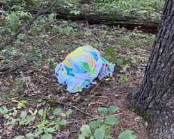 Mushroom Forager Finds Something Strange Under a Towel — Then Realizes Someone’s Trapped Inside