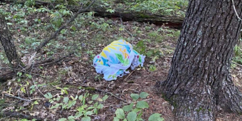 Mushroom Forager Finds Something Strange Under a Towel — Then Realizes Someone’s Trapped Inside