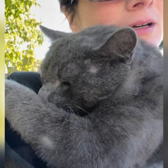 Injured Cat Melts In Rescuer’s Arms The Moment He Realizes He’s Finally Safe