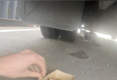 Man Finds Stray Cat Hiding Under Amazon Truck — Then Can’t Believe Where He’s From