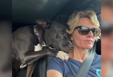 Shelter Dog Comforts Rescuer After Adopter Backs Out At The Last Minute