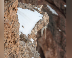 People Can’t Stop Searching For The Big Cat Hidden In This Photo