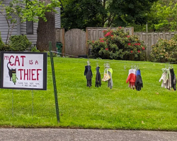 Family Posts Public Apology After Their Cat’s Hilarious Crime Spree