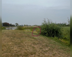 Rescuers Drop Everything To Save Two Abandoned Ducks On A Golf Course