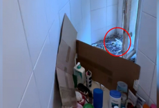 Woman Comes Home From Vacation — And Finds A Family Living In Her Shower