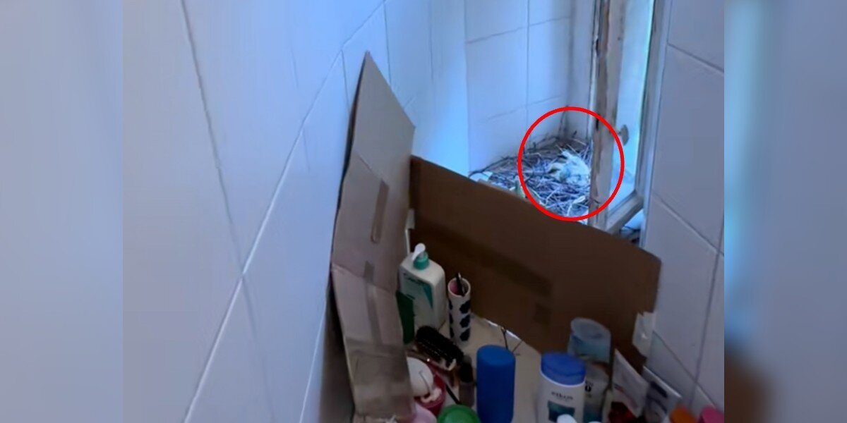 Woman Comes Home From Vacation — And Finds A Family Living In Her Shower