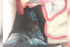 Festival Crew Unload Their Truck — And Discover a Surprise 870 Miles From Home