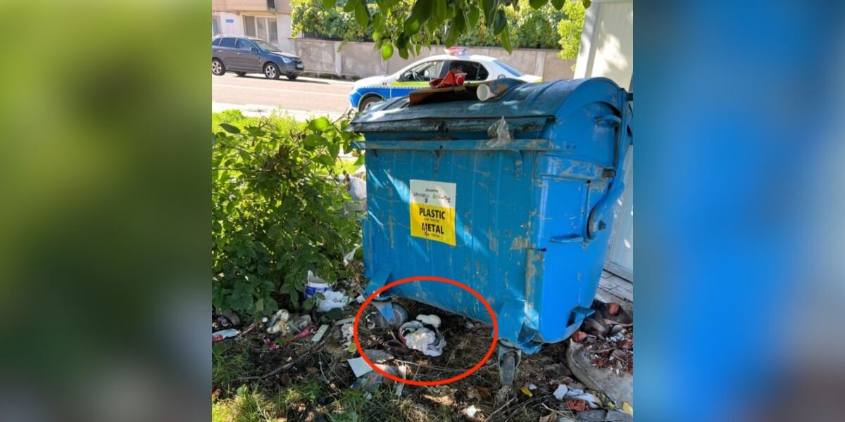 Woman Notices A Plastic Bag Moving — Then Finds A Litter Of Newborns Fighting To Survive