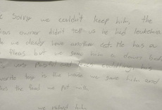 Shelter Worker Finds Abandoned Kitten And The Saddest Little Note Beside Him