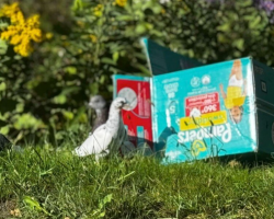 Woman Goes Into ‘Mom Mode’ After Spotting Box Of Beautiful Birds Left On The Street