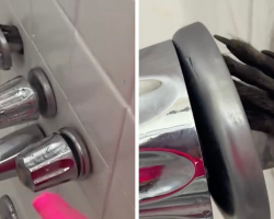 Woman Discovers Tiny Hand Reaching Through Wall — And Finds The Cutest Intruders