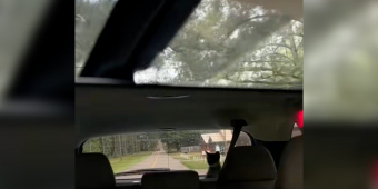 Driver Checks Rearview Mirror — And Can’t Believe Who’s Staring Back At Her