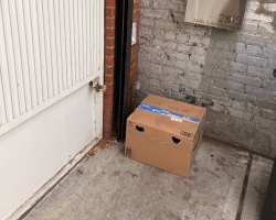 Shelter Manager Finds Sealed Box Hidden Behind Trash Bins — With a Gentle Soul Inside