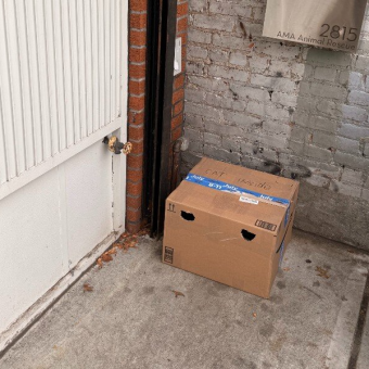 Shelter Manager Finds Sealed Box Hidden Behind Trash Bins — With a Gentle Soul Inside
