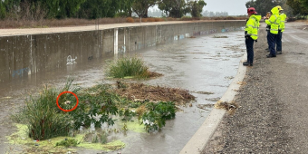 Workers Spot Shivering Pup Trapped In Flooded Canal — And Rush To Save Her