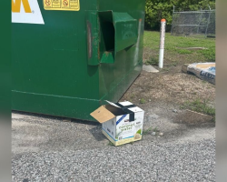 Box Labeled ‘Coconut Water’ Found Outside Shelter Held a Heartbreaking Surprise Inside