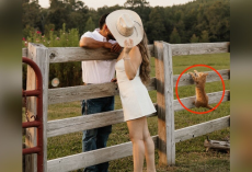 Barn Cat Crashes Engagement Shoot — And Completely Steals the Spotlight