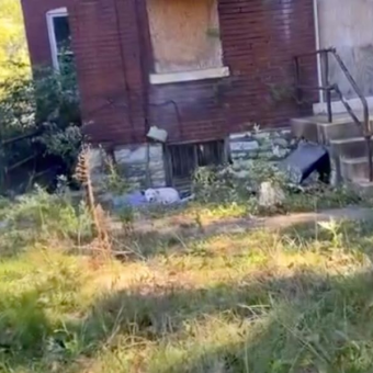 AT&T Technician Spots Something Heartbreaking Outside An Abandoned Home — And Immediately Stops His Day To Help