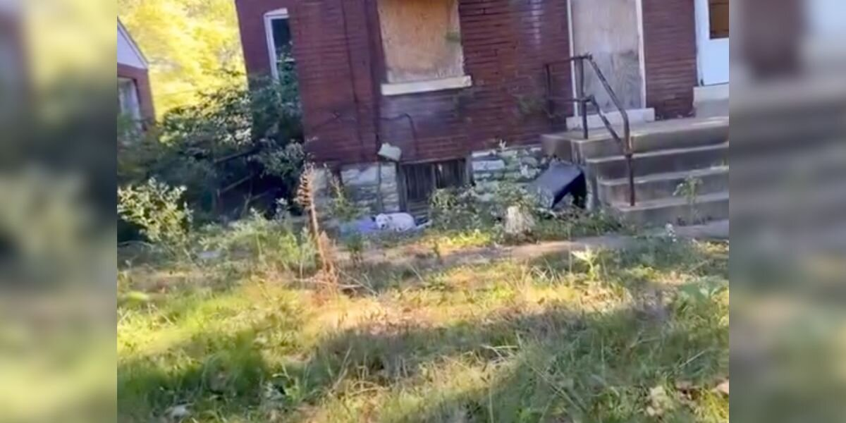 AT&T Technician Spots Something Heartbreaking Outside An Abandoned Home — And Immediately Stops His Day To Help