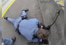 Body Cam Shows Officers Braving Busy Interstate To Save Tiny Kitten Frozen In Fear