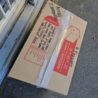 Rescue Worker Shocked to Discover Six Tiny Puppies Abandoned in Box at Shelter Door