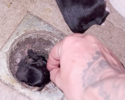 Woman Steps Into Abandoned House And Discovers Someone Tiny Trapped Beneath the Floorboards