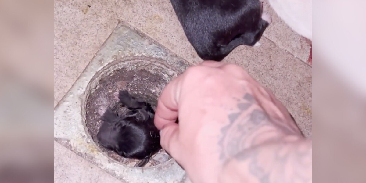 Woman Steps Into Abandoned House And Discovers Someone Tiny Trapped Beneath the Floorboards