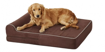 The Best Orthopedic Dog Beds to Soothe Your Senior Pup