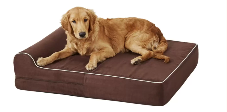 The Best Orthopedic Dog Beds to Soothe Your Senior Pup