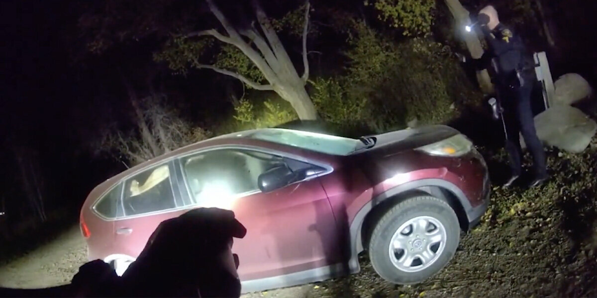 Deputies Answer Car Break-In Call — Find a “Furry Bandit” in the Driver’s Seat