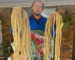 Family Learns Their House Has Been Home to Dozens of Hidden Snakes