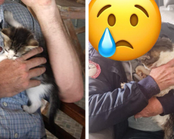 Missing Cat Reunites With His Dad After 15 Years — Just In Time To Say Goodbye