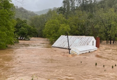 Family Watches In Shock As Their Cat Drifts Away During Devastating Flood — Then A Miracle Happens