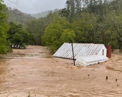 Family Watches In Shock As Their Cat Drifts Away During Devastating Flood — Then A Miracle Happens