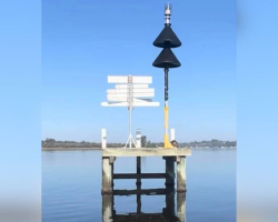 Woman Out for a Morning Walk Spots a Tiny Fuzz Ball Stranded in the Middle of a Lake