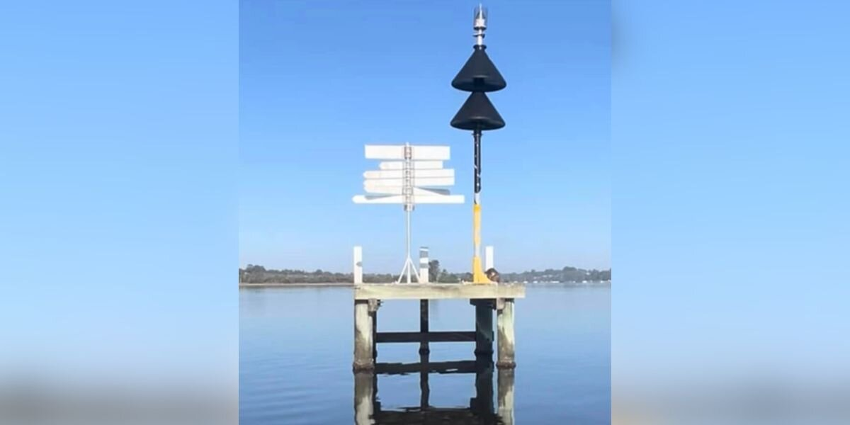 Woman Out for a Morning Walk Spots a Tiny Fuzz Ball Stranded in the Middle of a Lake