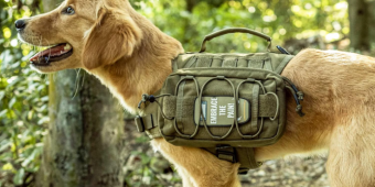 The 5 Best Dog Backpacks for Hiking and Camping (Dog Saddlebags That Actually Work)