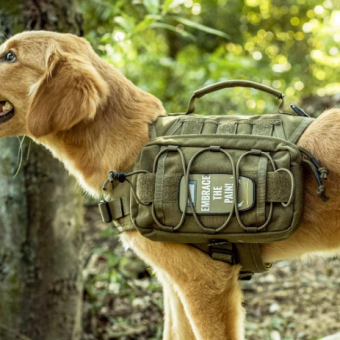 The 5 Best Dog Backpacks for Hiking and Camping (Dog Saddlebags That Actually Work)