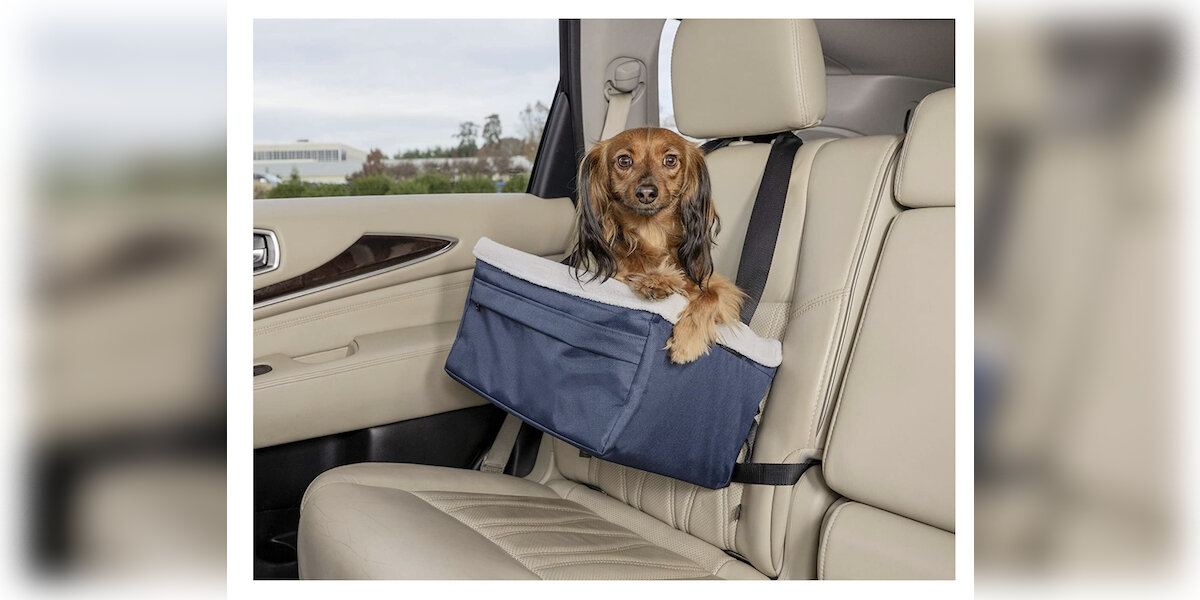 10 Best Dog Travel Crates for Safer, Stress-Free Adventures