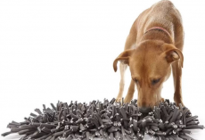 Snuffle Mats for Dogs: 5 Best Picks That Actually Keep Pups Busy